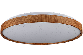 FOREST зоряне небо 60W 395*65мм 3000К-6500К з ДК тік