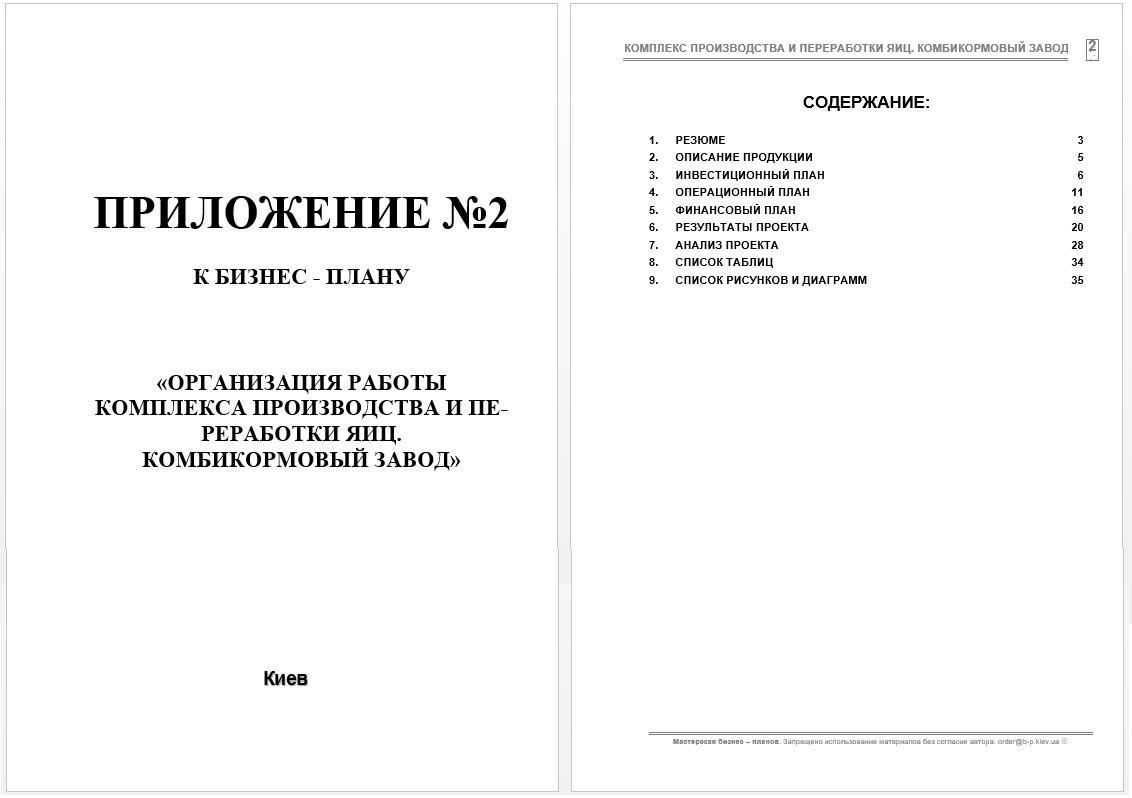 Бизнес-план (ТЭО). Комплекс. Яйцо куриное. Яичный порошок. Инкубатор. Комбикорм. завод. Полуфабрикаты. Птенцы - фото 6 - id-p464279348