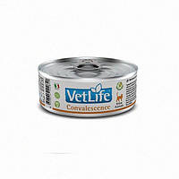 Вологий корм Farmina Vet Life Convalescence для кішок, для відновлення живлення та одужання, 85 г, оригінал