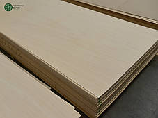 Фанера тополя