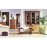 Тумба для взуття 3d Соната (Гербор /Gerbor)720*1210*190 мм, фото 3