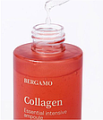 Сироватка для обличчя Bergamo Collagen Essential Intensive Ampoule 150ml, фото 3