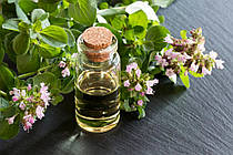 Oregano Oil: олія орегано – для антиоксидантної підтримки нашого організму