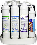 Фільтр зворотного осмосу з насосом Pallas Enjoy COOL 5CL-BP, фото 2