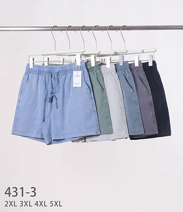 Шорти жіночі тонкий джинс стрейч  №431-3 р. 2XL, 3XL, 4XL, 5XL, фото 1