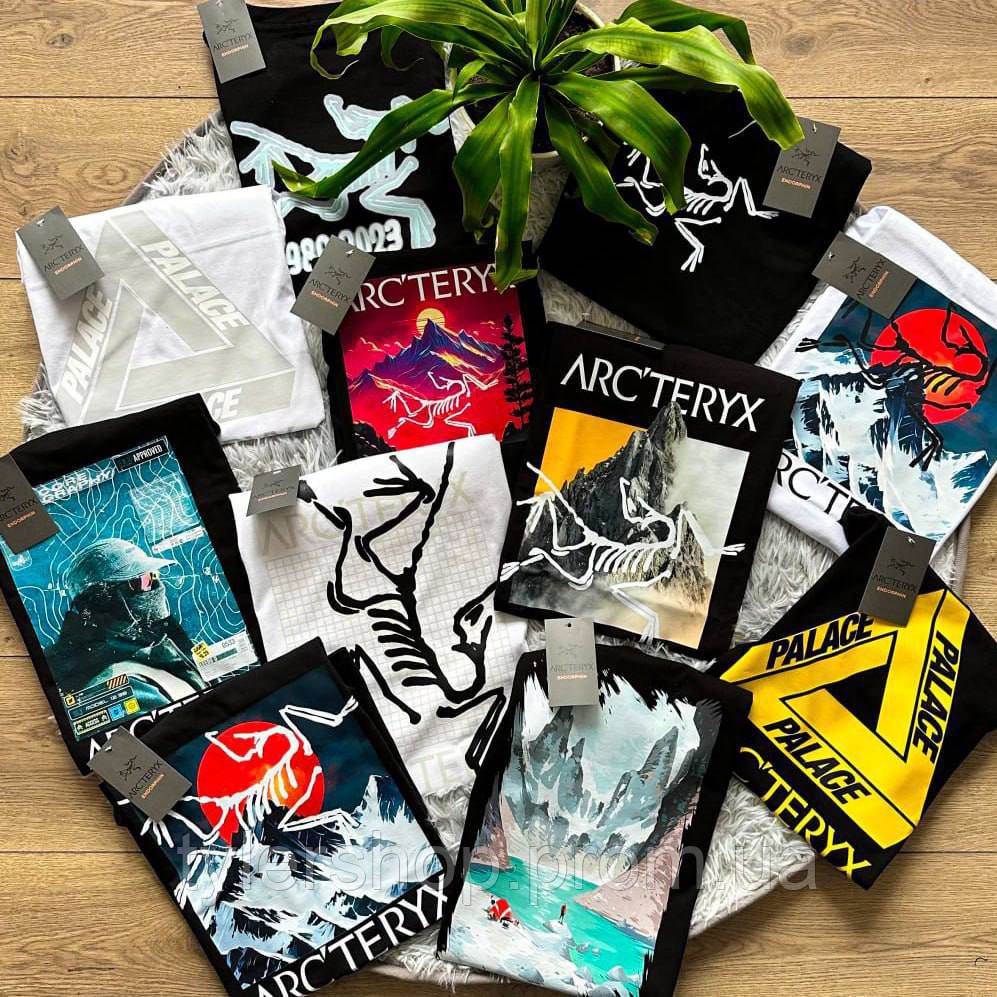 Футболка arcteryx norvan футболка артерикс оригінал - фото 1 - id-p2633842633