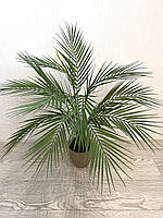Штучна пальма для декору — 75 см, фото 8