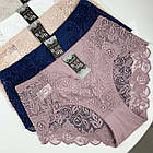 Жіночі трусики #А220 Biweier Мікс (микрофібра), фото 3