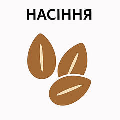 Насіння