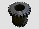 Блок шестерень заднього ходу 24*25 зуб. КПП 236-1701082, фото 2