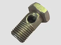 Болт-штуцер М10х1х20 кріплення дренажної трубки ЯМЗ-236, 238, 7511, 656, 658. 310122-П2