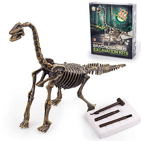 Науковий набір розкопки Діпролодокус від Obetty