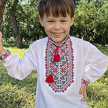 Вишиванка для хлопчиків "Максим" червоний