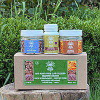 Курс Лісовик Heart Power, для серцево-судинної системи (1 місяць) (482765)