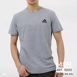 Чоловіча сіра спортивна футболка (Бавовна) Розміри: 46,48,50,52,54 (21319-3)