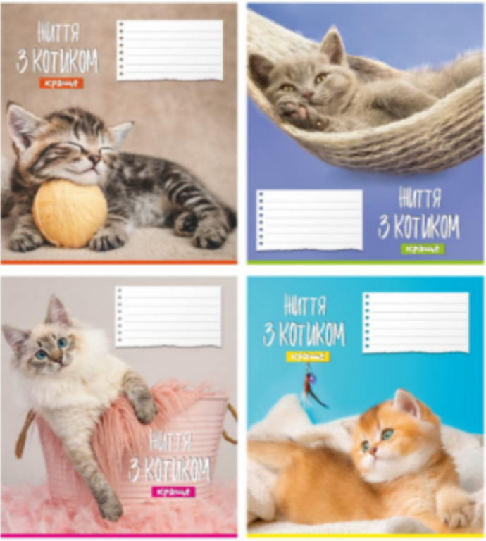 Зошит учнівський 12 арк., коса лінія, Поліграфіст "Життя з котиком" 968, фото 1