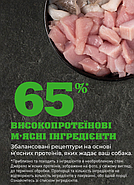 Сухий корм для літніх собак Acana Senior Dog 2 кг (a51023), фото 3