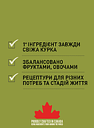 Сухий корм для літніх собак Acana Senior Dog 2 кг (a51023), фото 4