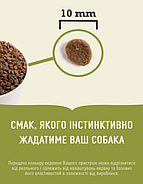 Acana Wild Prairie cat (АКАНА ВАЙЛД ПРЕРІЯ КЕТ) - корм для кошенят і кішок 1.8 кг (a64018), фото 2