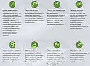 BonaCibo Adult Dog High Energy Chicken & Rice with Anchovy Сухий корм для активних собак 15 кг (BC405802), фото 5