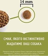 Сухий корм для собак ACANA Wild Coast для всіх порід та стадій життя 9.7 кг (a56212), фото 2