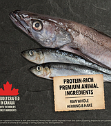 Сухий корм для собак ACANA Wild Coast для всіх порід та стадій життя 9.7 кг (a56212), фото 4