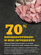 Сухий корм для собак ACANA Puppy Recipe для цуценят всіх порід 2 кг (a50020), фото 3