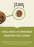 Сухий корм для собак Acana Adult Dog Recipe для всіх порід та стадій життя 6 кг (a52560), фото 2