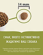 Сухий Корм для собак ACANA Grasslands Dog для всіх порід та стадій життя 11.4кг (a54211), фото 2