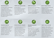 BonaCibo Puppy High Energy Chicken & Rice with Anchovy Сухий корм для активних цуценят 3 кг (BC406151), фото 4