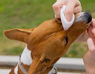 Espree Aloe Ear Care Pet Wipes вологі серветки з алое для вух 60шт e01277 (0748406012776), фото 3