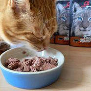 Консерва для котів Alpha Spirit Chicken Chicken Sterilized Cat Альфа Спірит стерилайз з куркою 200г (as311179), фото 5