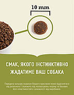 Сухий корм для котів ACANA GRASSLANDS CAT для всіх порід та стадій життя 1.8KG (a64218), фото 2