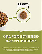 Сухий корм для собак ACANA Prairie Poultry для всіх порід та стадій життя 9.7 кг (a56011), фото 3