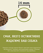 Сухий корм для собак усіх порід та стадій життя Acana Акана Grass-Fed Lamb Dog з ягням 2кг (a57020), фото 2