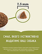 Сухий Корм для кошенят Acana First Feast Cat Ферст Фест 0.340 кг (a71428), фото 2