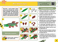 2 клас НУШ. Мій маленький трудівничок. Альбом-посібник з дизайну і технологій (Павленко О.), Ранок, фото 4