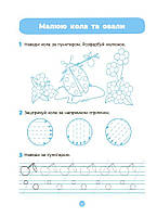 Готуємось до НУШ. Підготовка до письма. Робочий зошит 5-6 років (Шевцова), Основа, фото 8