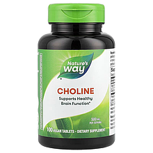 Холін Nature's Way "Choline" вітамін В4, 500 мг (100 таблеток)
