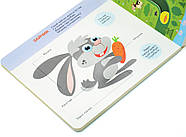 Ми у лісі. Книжка для моторики, фото 3