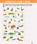 3 клас. НУШ Я досліджую світ. Робочий зошит, Частина 2 (Бібік Н.М., Бондарчук Г.П.), Ранок, фото 6