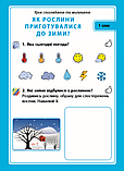 Досліджуємо світ рослин. Набір дидактичних матеріалів. ЯДС. 1-2 класи, фото 2