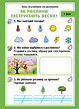 Досліджуємо світ рослин. Набір дидактичних матеріалів. ЯДС. 1-2 класи, фото 3