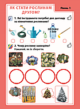 Досліджуємо світ рослин. Набір дидактичних матеріалів. ЯДС. 1-2 класи, фото 4