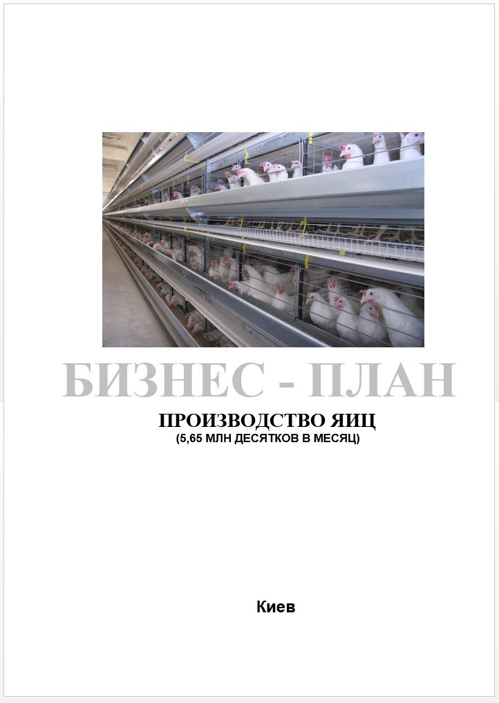 Бизнес-план (ТЭО). Комплекс. Яйцо куриное. Яичный порошок. Инкубатор. Комбикорм. завод. Полуфабрикаты. Птенцы - фото 8 - id-p464279348