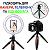 Міні штатив для телефону універсальний трипод тринога маленький настільний для камери відеосвітла 33 см Mini NeePho, фото 5