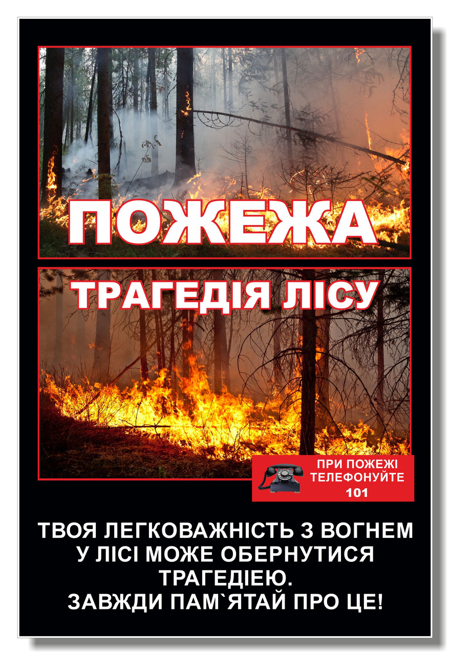 Стенд "Пожежа - трагедія лісу"