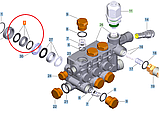 Набір ущільнень високого тиску W2 для HD 6/15-4 Classic Karcher 6.365-495.3, фото 3