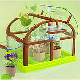 Набір для дослідів Домашня теплиця від Obetty, фото 2