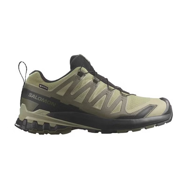 Кросівки Salomon XA PRO 3D V9 Gore-Tex